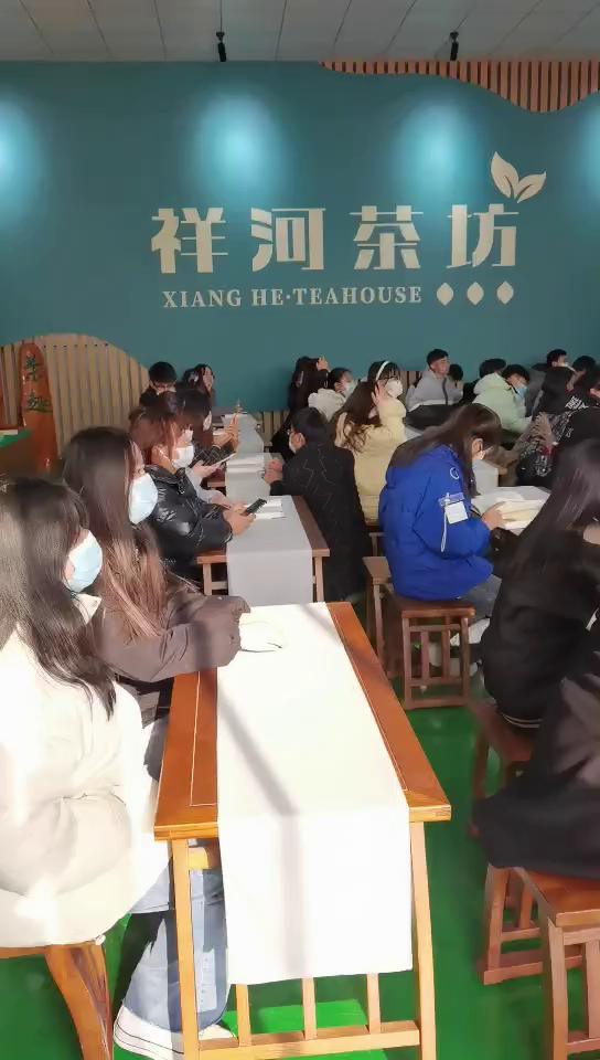 红茶绿茶 红茶绿茶